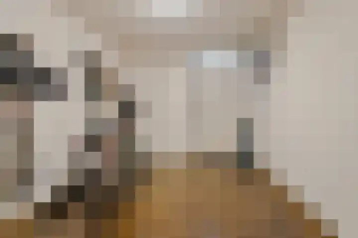 Hendriklaan 8 Oss thumbnail 31