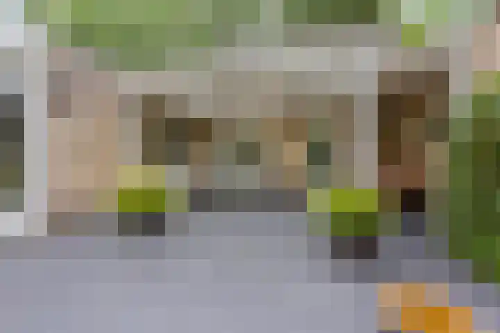 Hendriklaan 8 Oss thumbnail 32