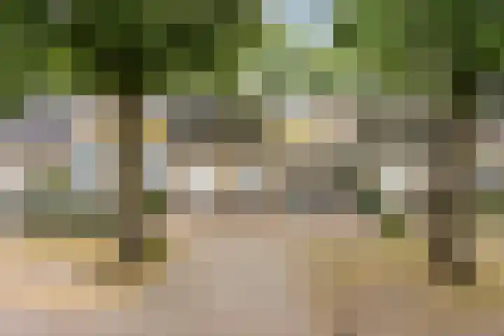 Hendriklaan 8 Oss thumbnail 36