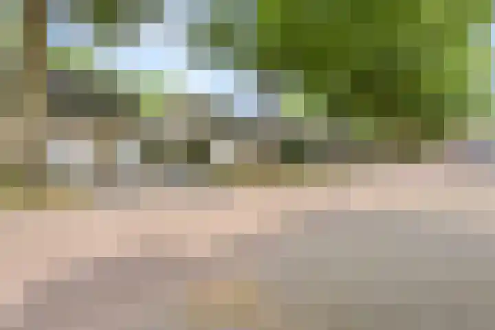Hendriklaan 8 Oss thumbnail 39