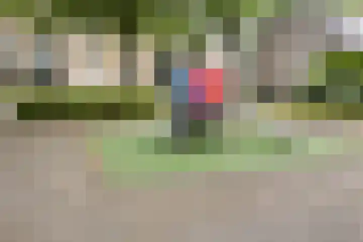 Hendriklaan 8 Oss thumbnail 40