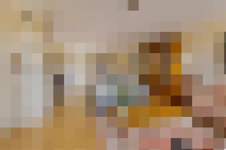Hendriklaan 8 Oss thumbnail 5
