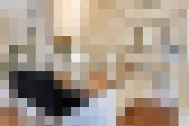 Henegouwerlaan 110 E Rotterdam thumbnail 4