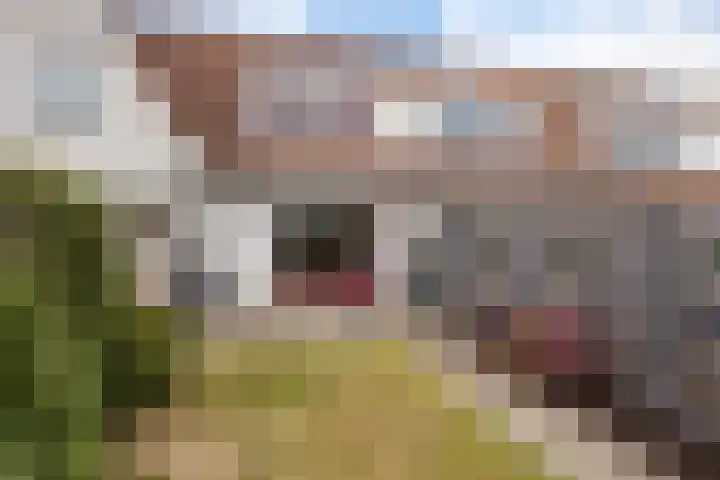 Hengeler 37 Neede thumbnail 26