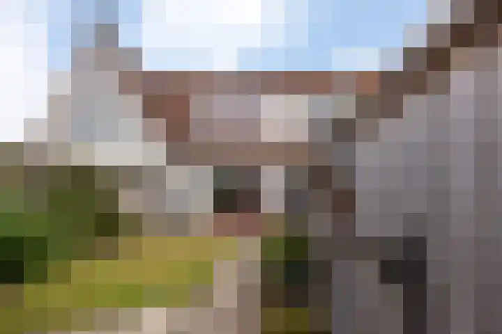 Hengeler 37 Neede thumbnail 27