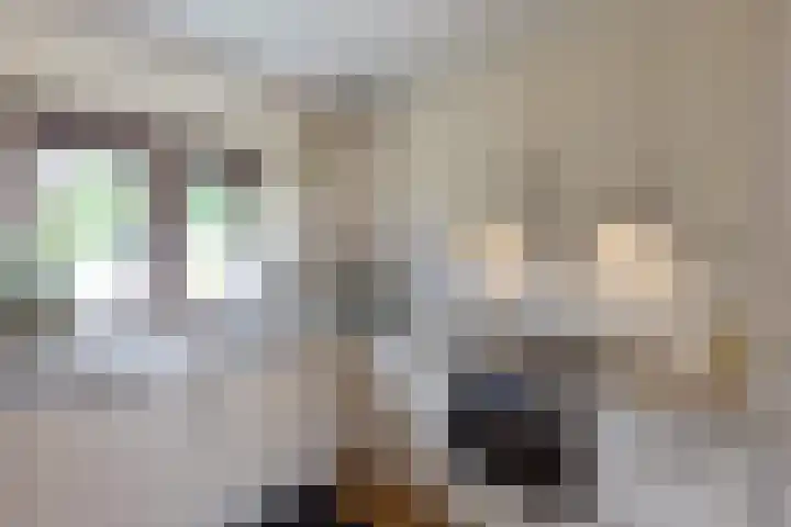 Hengeler 37 Neede thumbnail 7