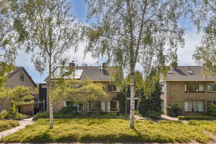 Hengelolaan 1067B in 's-Gravenhage foto