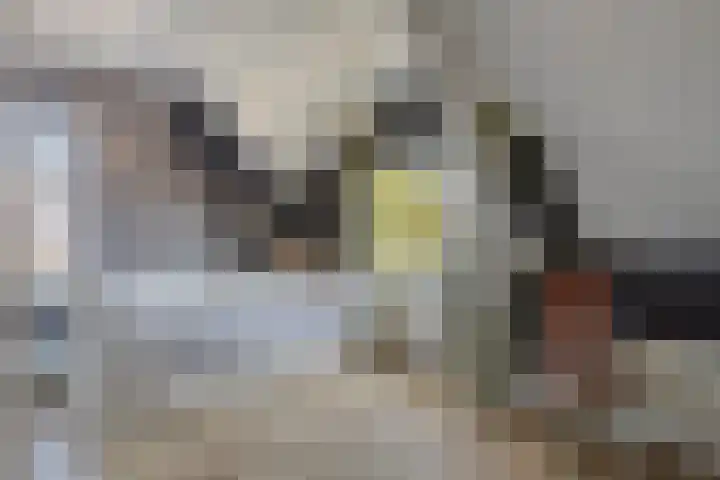 Hengstdijkse Kerkstraat 5 Hengstdijk thumbnail 25