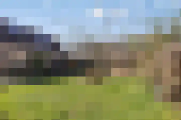 Hengstdijkse Kerkstraat 5 Hengstdijk thumbnail 35