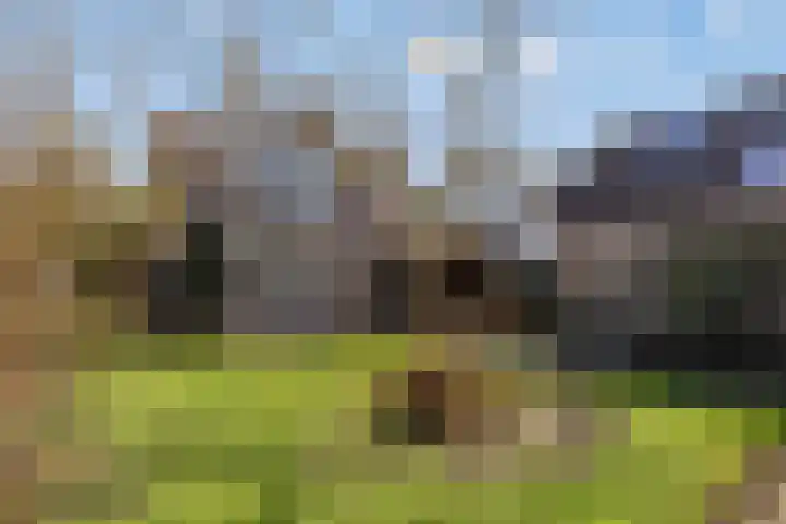 Hengstdijkse Kerkstraat 5 Hengstdijk thumbnail 38