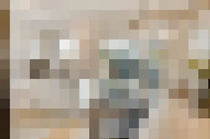 Henisstraat 21 Maastricht thumbnail 8