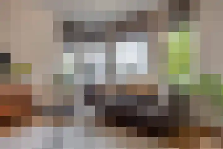 Hennepad 44 Wormerveer thumbnail 5