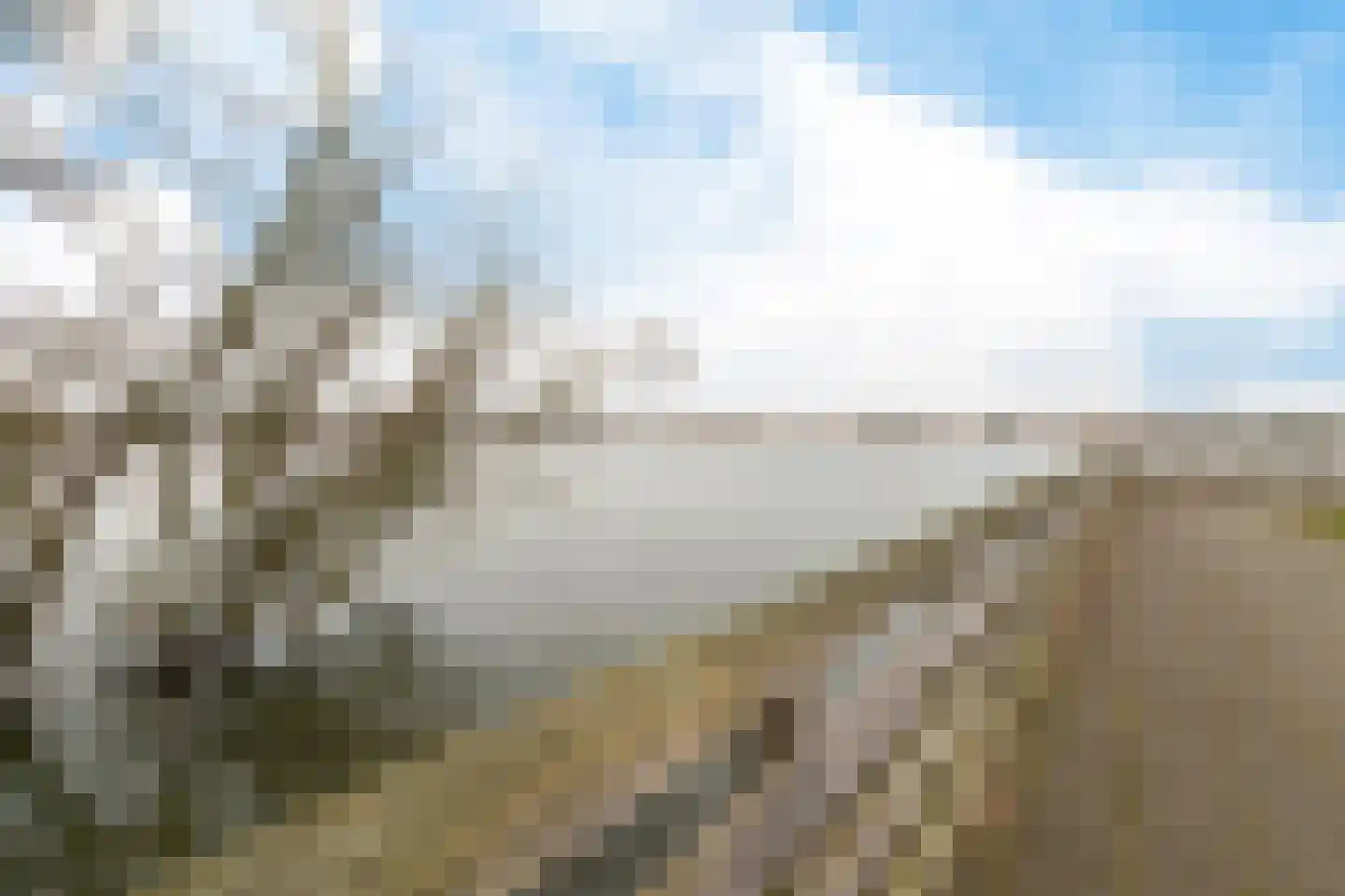 Heraut 29 Zeewolde thumbnail 4