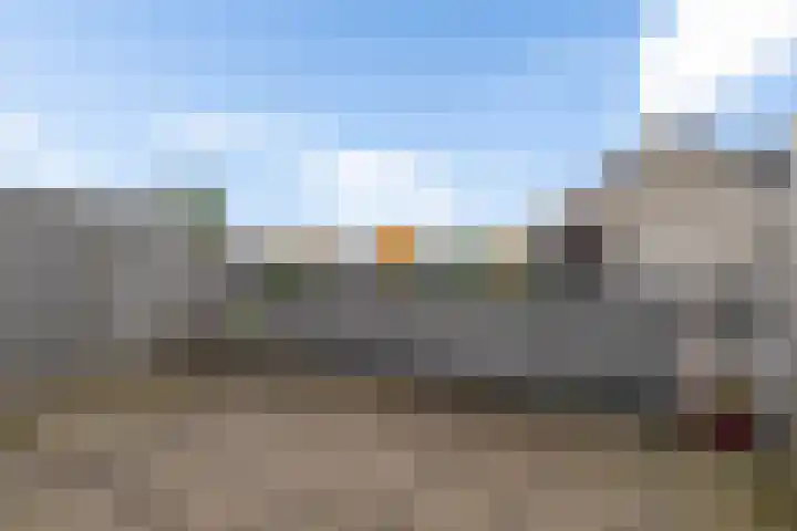 Heraut 37 Zeewolde thumbnail 10