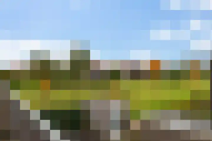 Heraut 37 Zeewolde thumbnail 12