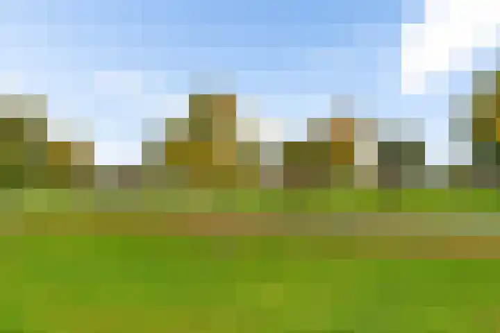 Heraut 37 Zeewolde thumbnail 13