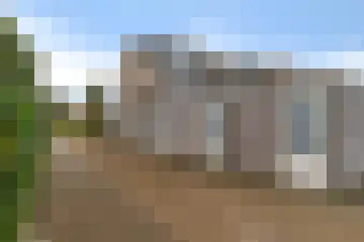 Heraut 37 Zeewolde thumbnail 24