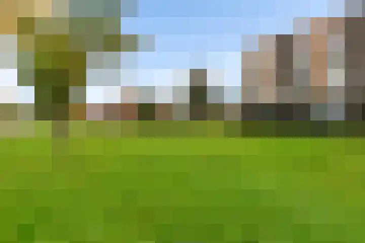 Heraut 37 Zeewolde thumbnail 26