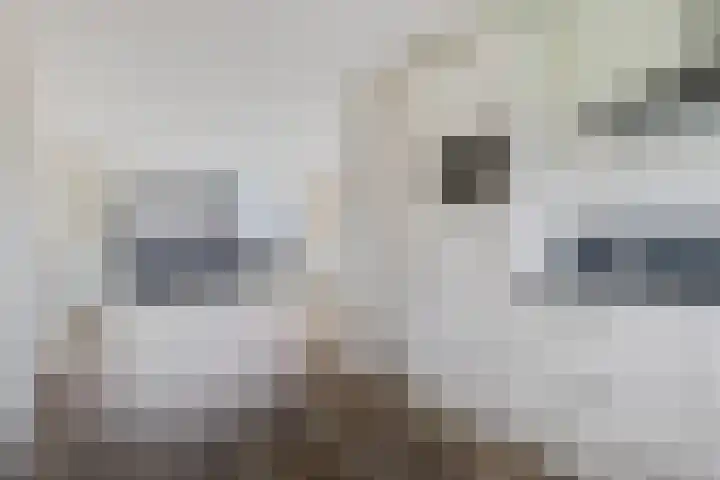 Heraut 37 Zeewolde thumbnail 8
