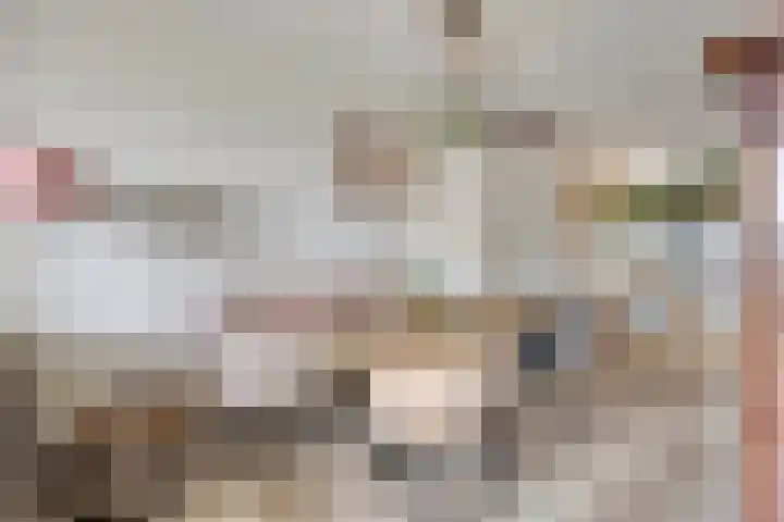 Heraut 7 Zeewolde thumbnail 13