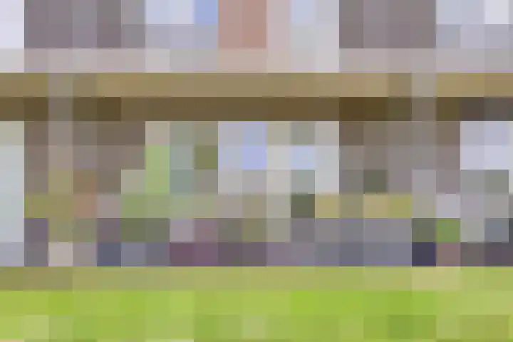 Heraut 7 Zeewolde thumbnail 26