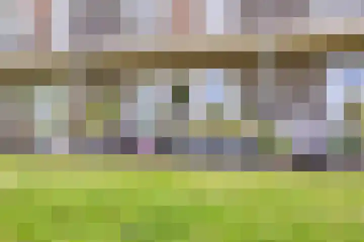 Heraut 7 Zeewolde thumbnail 27