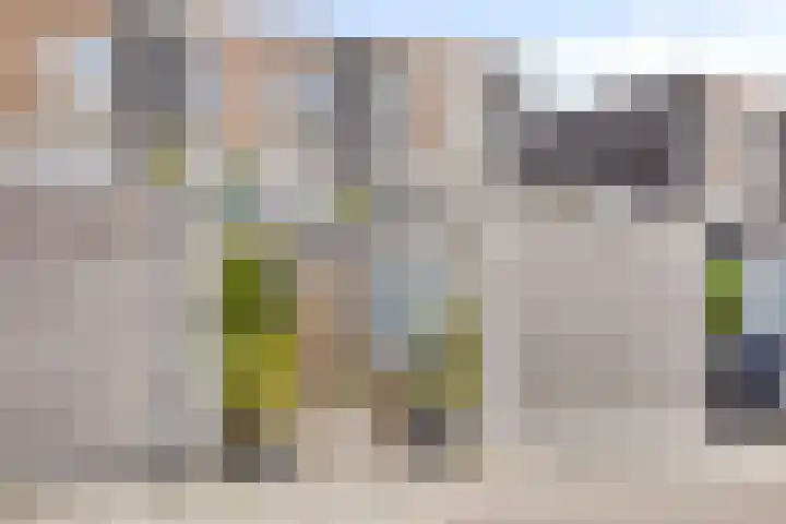 Heraut 7 Zeewolde thumbnail 7