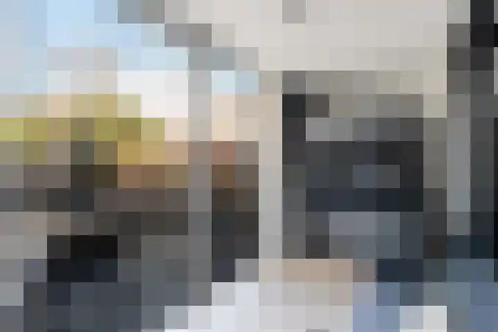 Herautpad 34 Schiedam thumbnail 13