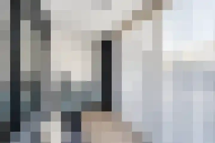 Herautpad 34 Schiedam thumbnail 15