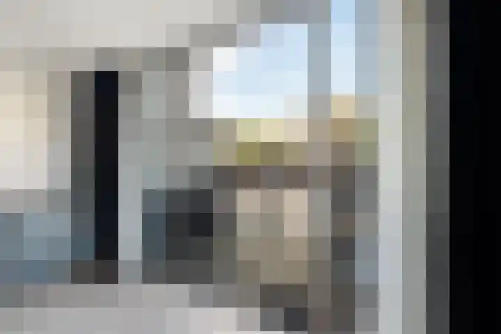 Herautpad 34 Schiedam thumbnail 17