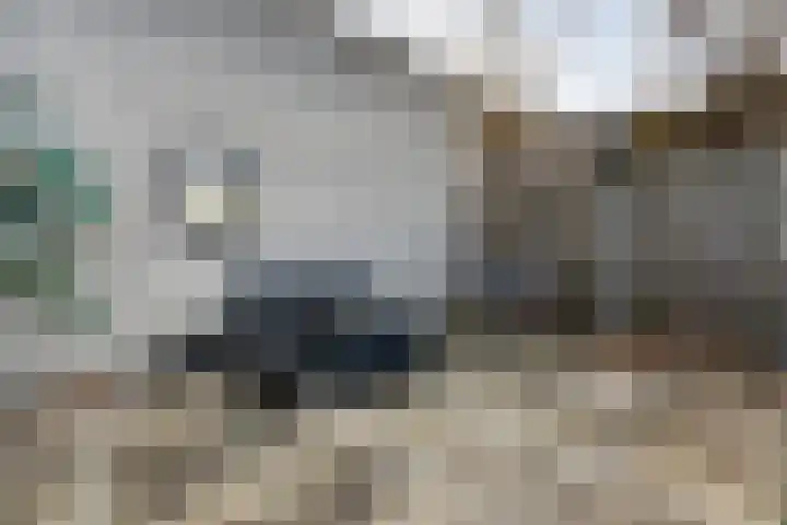 Herautpad 34 Schiedam thumbnail 21