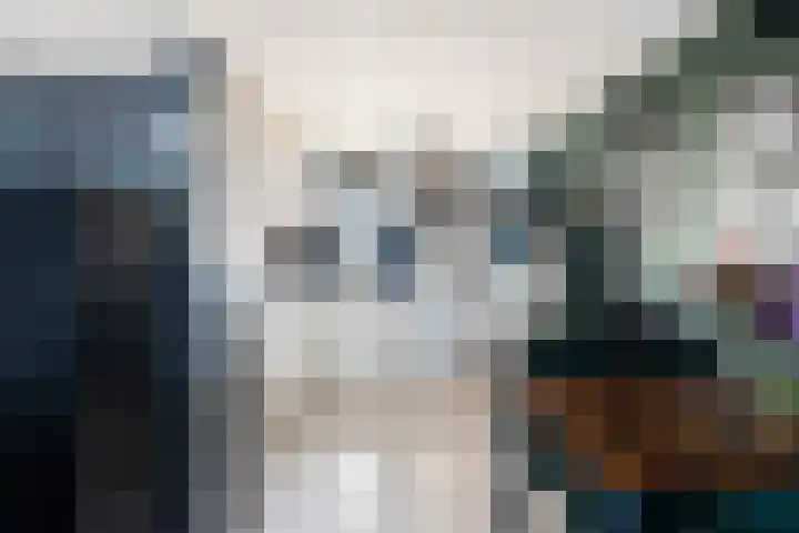 Herautpad 34 Schiedam thumbnail 31