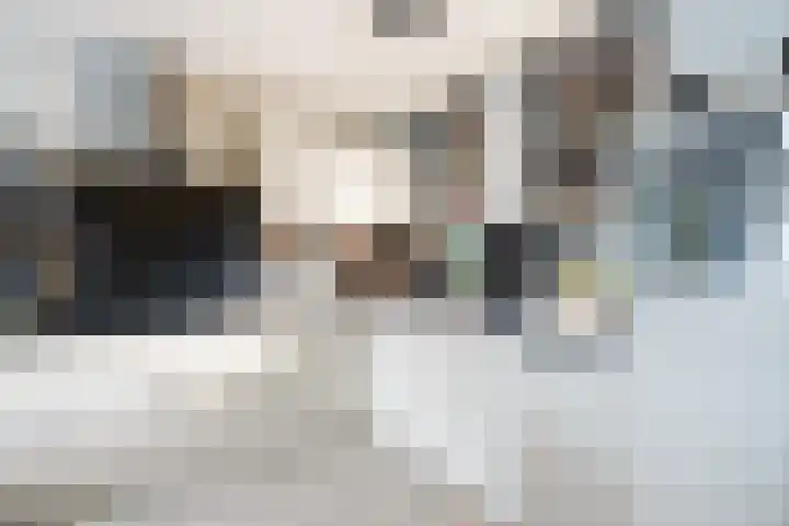 Herautpad 34 Schiedam thumbnail 33