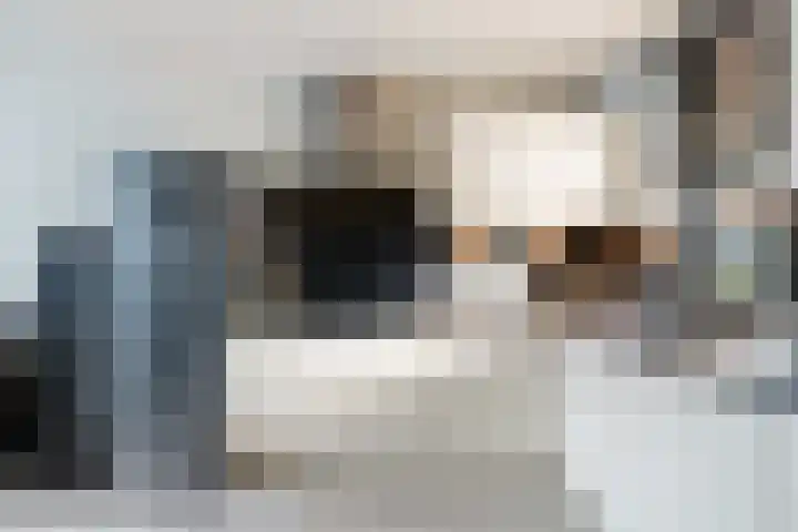 Herautpad 34 Schiedam thumbnail 34