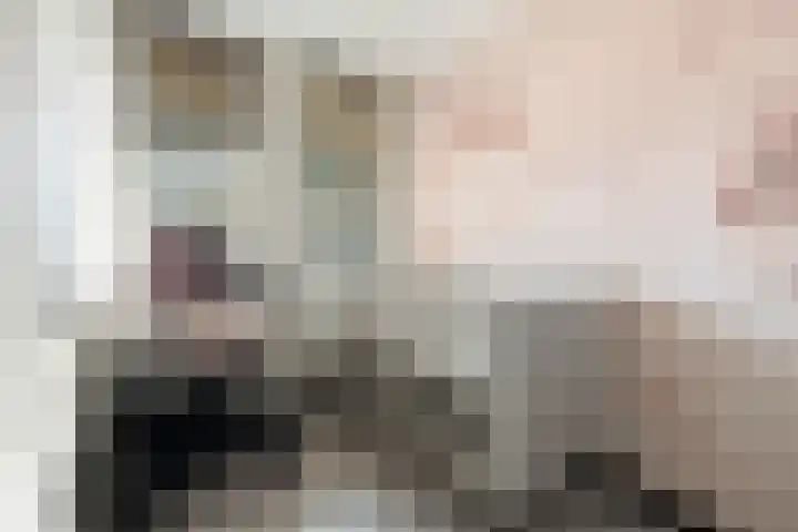 Herautpad 34 Schiedam thumbnail 38