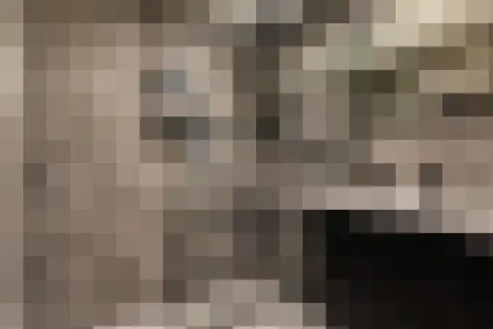 Herautpad 34 Schiedam thumbnail 4