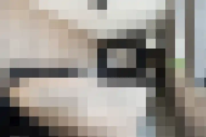Herautpad 34 Schiedam thumbnail 42