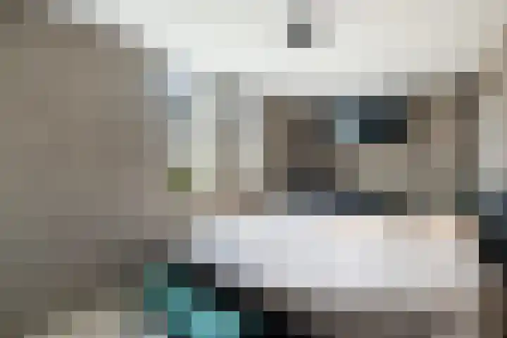 Herautpad 34 Schiedam thumbnail 46