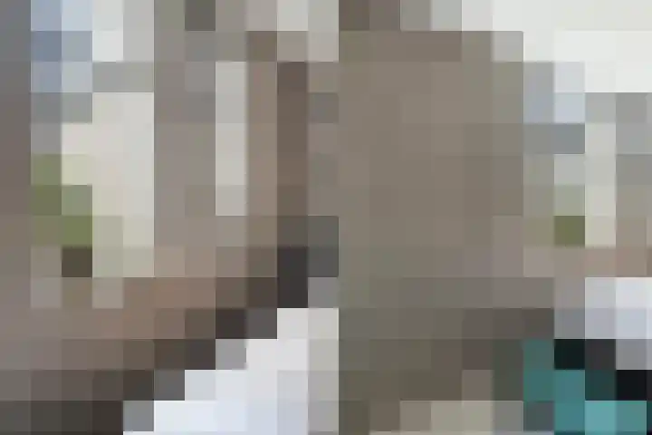 Herautpad 34 Schiedam thumbnail 47