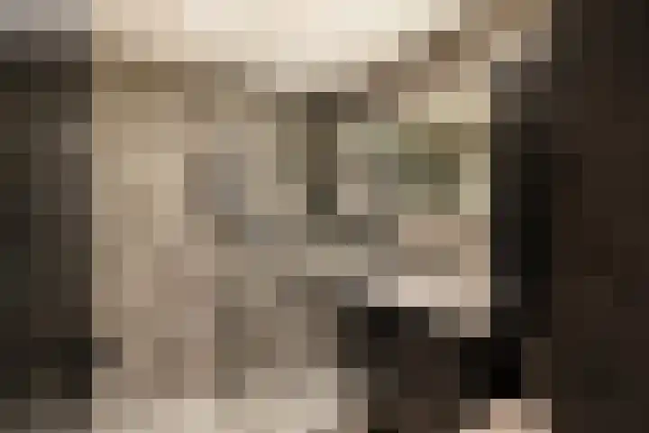 Herautpad 34 Schiedam thumbnail 48