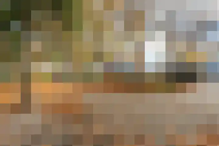Herautpad 34 Schiedam thumbnail 53
