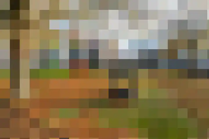 Herautpad 34 Schiedam thumbnail 54