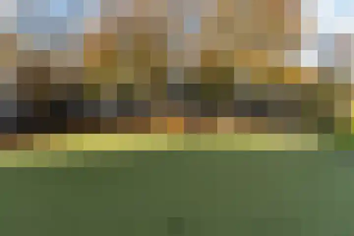Herautpad 34 Schiedam thumbnail 55