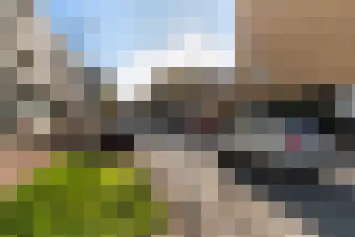 Herautpad 34 Schiedam thumbnail 59