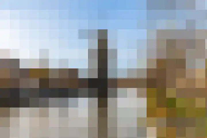 Herautpad 34 Schiedam thumbnail 61