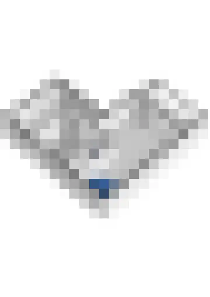 Herautpad 34 Schiedam thumbnail 65