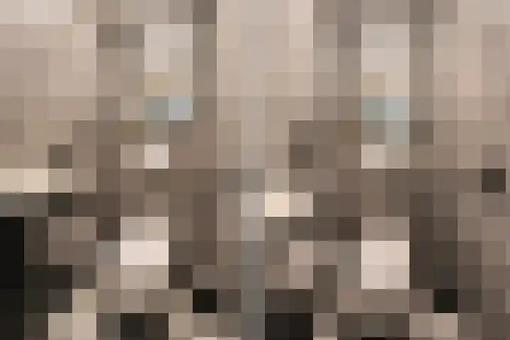 Herautpad 34 Schiedam thumbnail 9