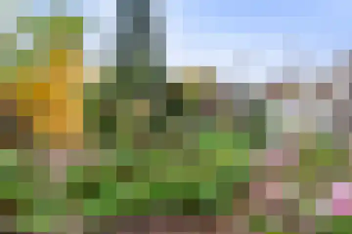 Herautsingel 48 Utrecht thumbnail 21