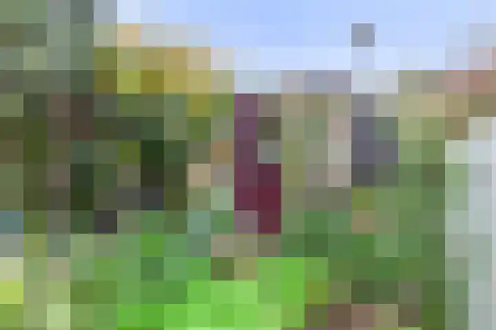 Herautsingel 48 Utrecht thumbnail 23