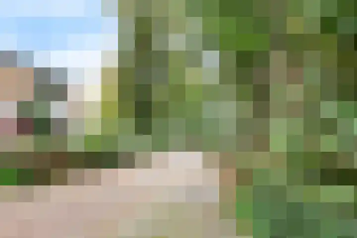 Herautsingel 48 Utrecht thumbnail 28
